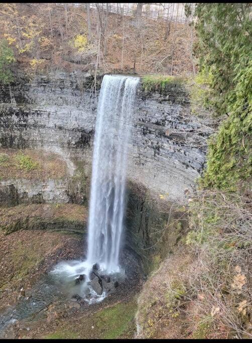 Appartamento Escarpment Dwelling! Hamilton Esterno foto